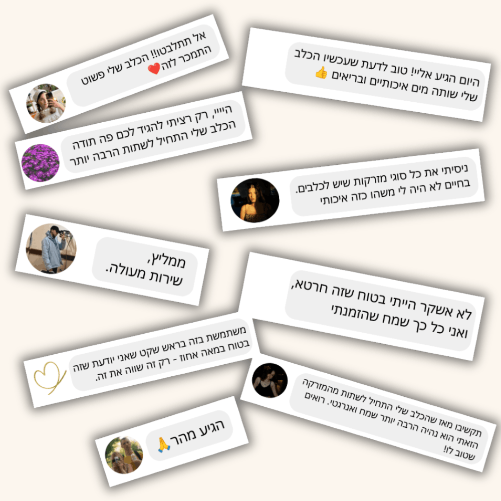 מזרקת המים החכמה - FreshFlow